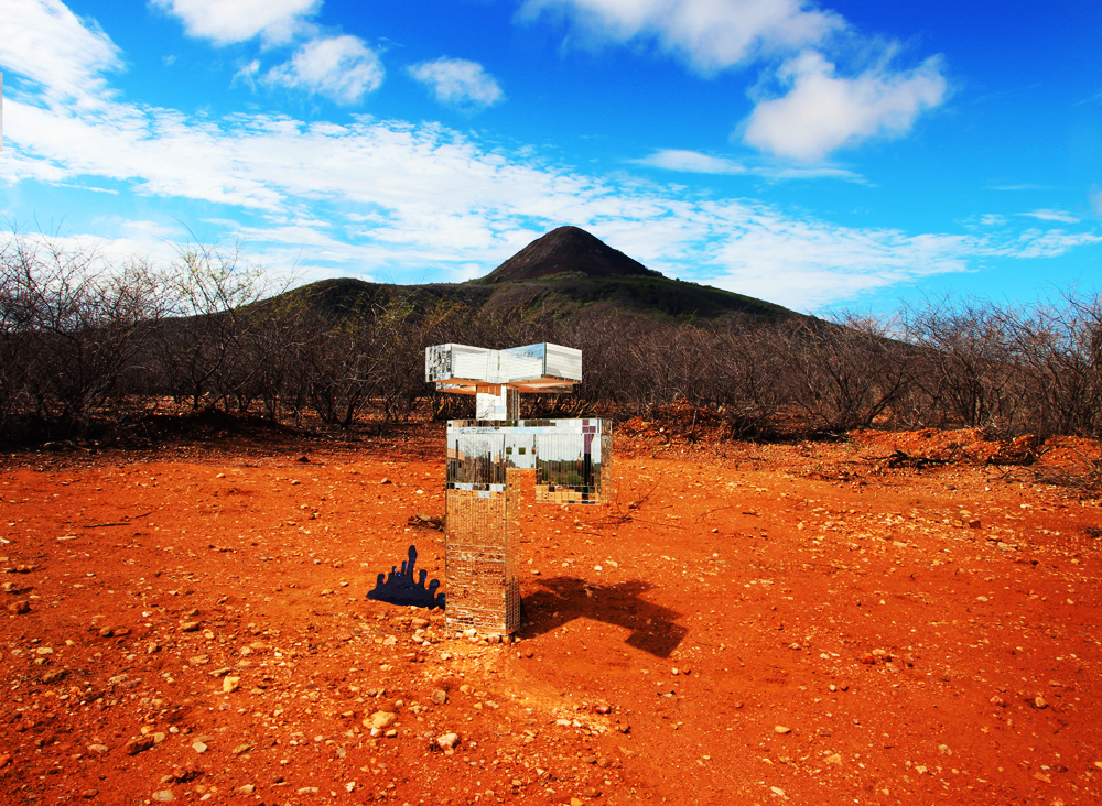 caatinga 2