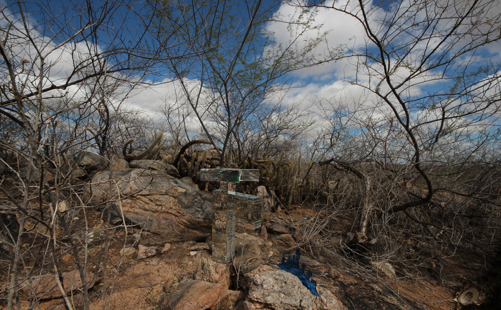 costackz caatinga